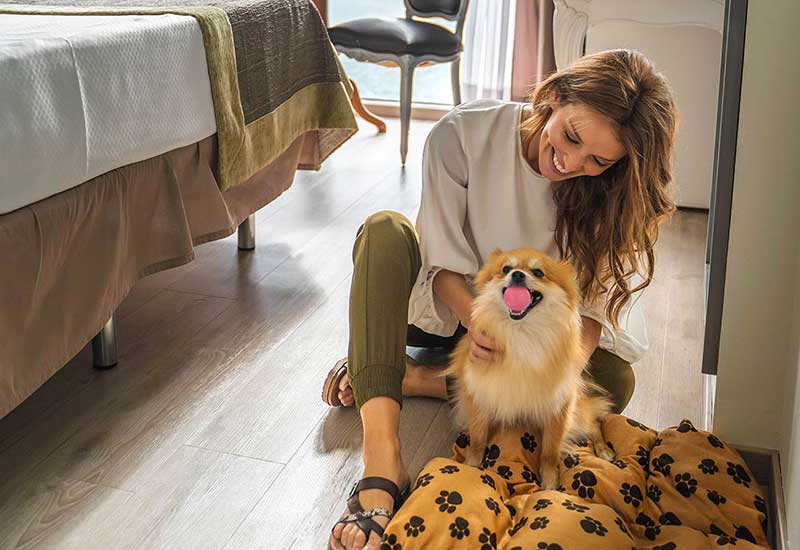 Travel with your pet