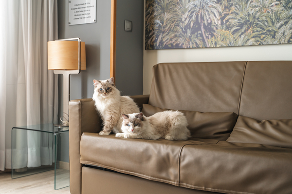 TRAVEL WITH YOUR PET